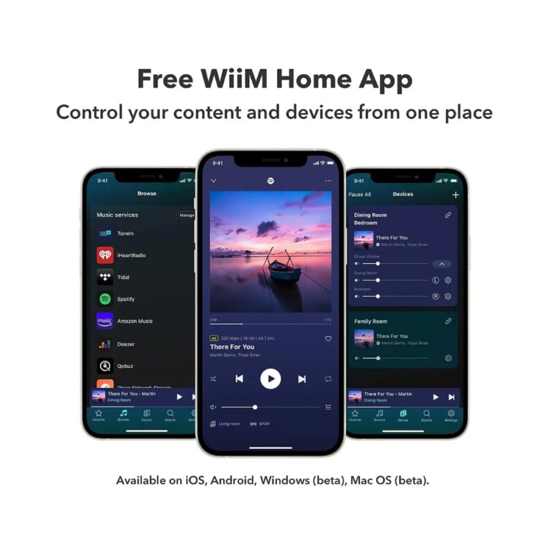 WiiM Pro Audio Streamer + daljinski upravljalnik – pogled 4