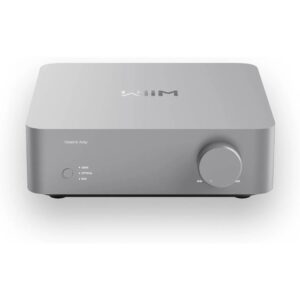 WiiM Vibelink Amp