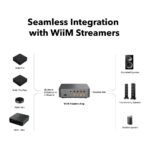 WiiM Vibelink Amp – pogled 5
