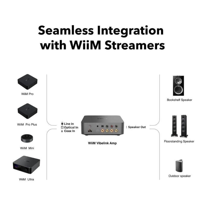 WiiM Vibelink Amp – pogled 5